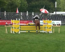 jumper Loki 77 (German Sport Horse, 2005, from Landrebell)