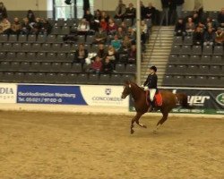 dressage horse Wapito 6 (Hanoverian, 2005, from Waterford)