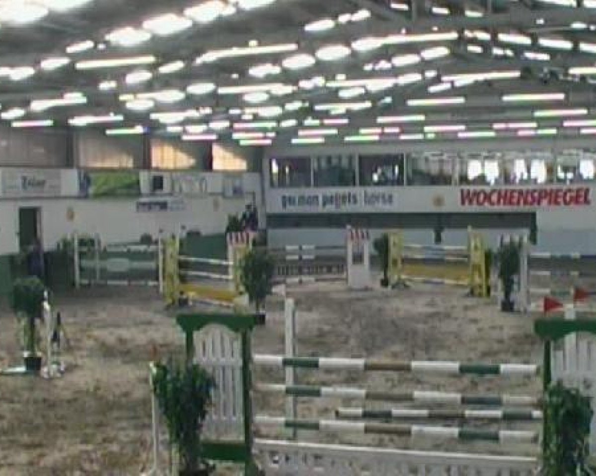 Springpferd Lorenzo 258 (Holsteiner, 2003, von Laurenz)