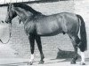 stallion Ronald (Holsteiner, 1970, from Ramiro Z)