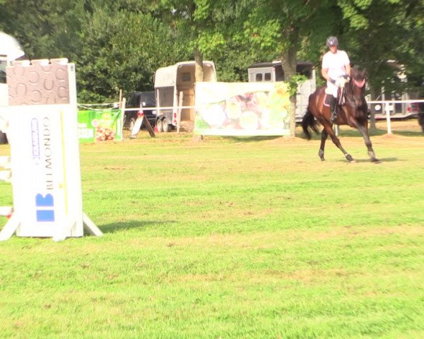 Reitturnier Kellinghusen 2022