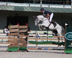 Springpferd Monte Bianco (Belgium Sporthorse, 2012, von Ugano Sitte)