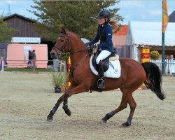 Pferd Fly Dream 2 (Deutsches Reitpony, 1996, von Cap. Hook)