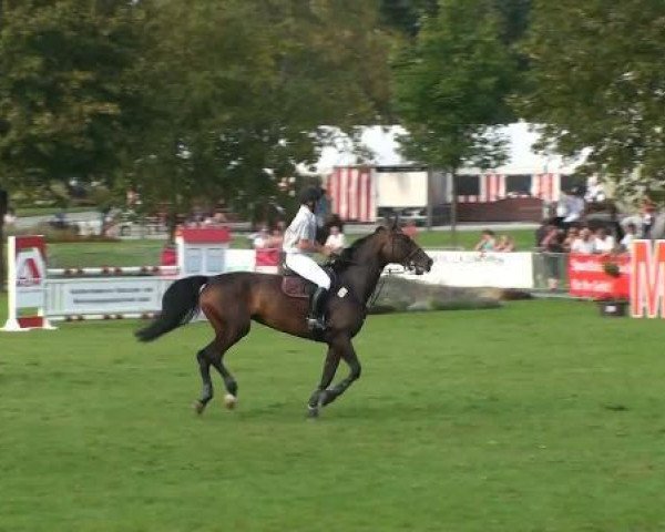 broodmare Lousiana (Mecklenburg, 2000, from Limborat)