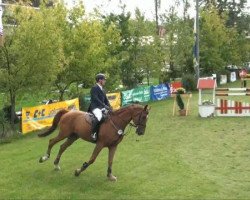 jumper Sampras 15 (Hanoverian, 2004, from Stolzenberg)