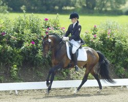 dressage horse Morning Surprise AS (German Riding Pony, 2006, from Morning Risto)