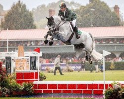 jumper Kilkenny (Irish Sport Horse, 2012, from VDL Cardento 933)