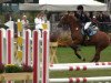 broodmare Mac Too (German Riding Pony, 1996, from Maccardo)