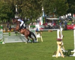 jumper Woomera 5 (Belgian Warmblood, 1999, from Ferro)