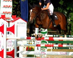 jumper Adelbert (KWPN (Royal Dutch Sporthorse), 2005, from Lennard)