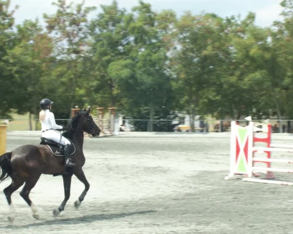 Reitturnier Horitschon 2022