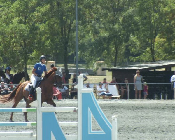 Reitturnier Horitschon 2022