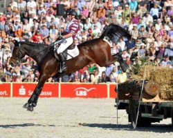 broodmare FBW Best of (Württemberger, 2005, from Baldini I)