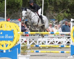 jumper Ophelia van het Lambroeck (Belgian Warmblood, 2014, from Kannan)