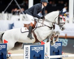 Springpferd Hooligan de Laubry (Belgisches Warmblut, 2007, von Clinton)