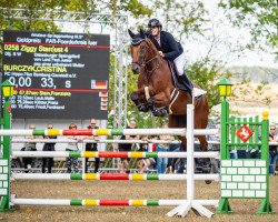 jumper Ziggy Stardust 4 (Oldenburg show jumper, 2014, from Lord Pezi Junior)