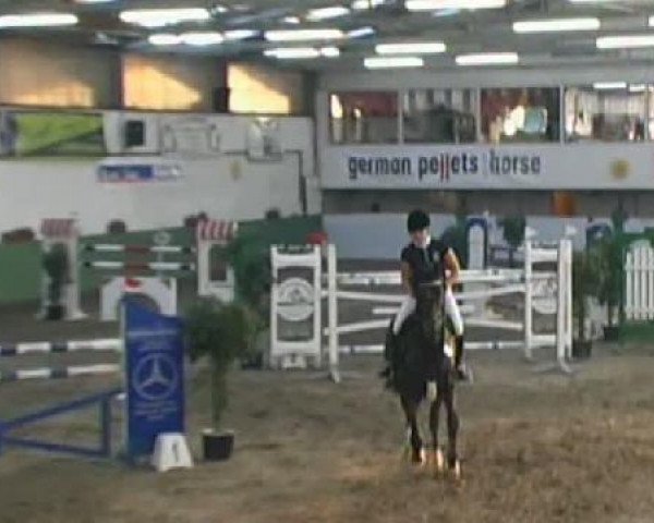 jumper Sheitan D (Hanoverian, 2003, from Stakkato)