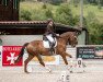 dressage horse Fiolento de la Rosso (Bavarian, 2010, from Florencio I)