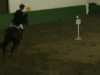 jumper For Secret Pleasure (Hanoverian, 2005, from For Edition)