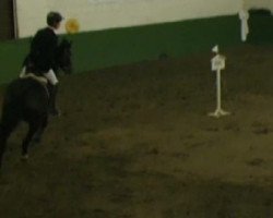 jumper For Secret Pleasure (Hanoverian, 2005, from For Edition)