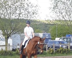 dressage horse Rio 134 (Bavarian, 1993, from Rubinstein I)