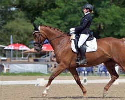 dressage horse Frieda Rumbelbuffin Von Moos (Bavarian, 2013, from Frankenherr)