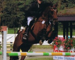 jumper Carim 7 (Oldenburg, 2000, from Carnando)