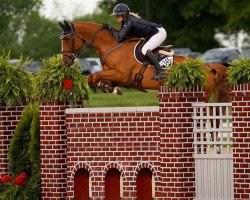 jumper Play (Swedish Warmblood, 2012, from Luidam)