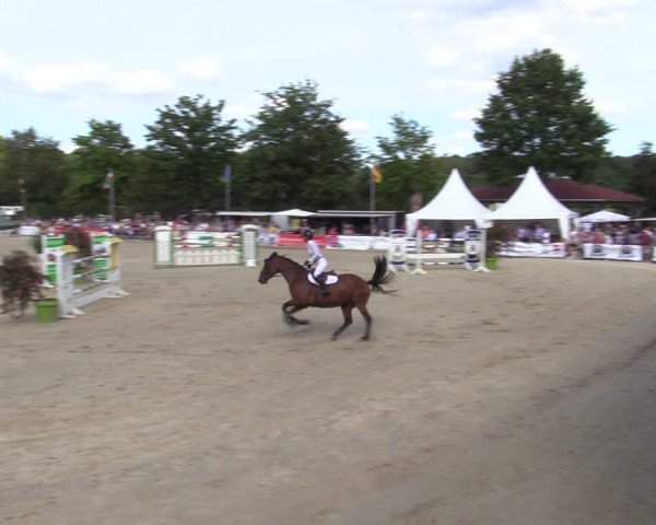 Reitturnier Münster-Albachten 2022