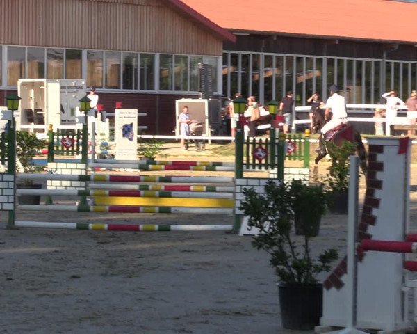 Reitturnier Werne 2022