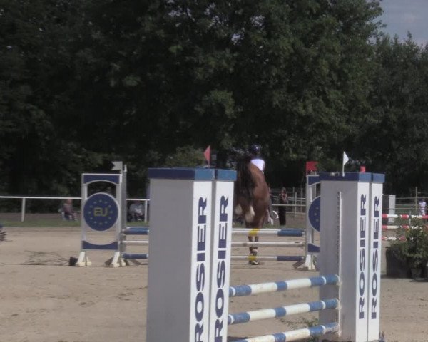 Reitturnier Menden 2022