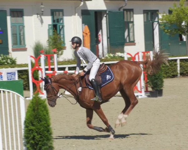 Reitturnier St.Wendel, Gestüt Welvert 2022