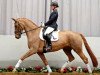 dressage horse Fragance (Westphalian, 2008, from For Compliment)