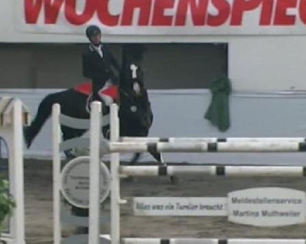 jumper Charles's Wain 2 (Hessian Warmblood, 2003, from Cheenook)