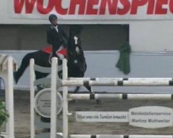 jumper Charles's Wain 2 (Hessian Warmblood, 2003, from Cheenook)
