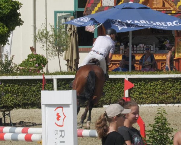 Reitturnier St.Wendel, Gestüt Welvert 2022