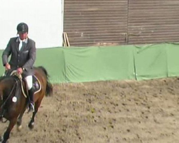 Springpferd Bonita 375 (unbekannt, 2006, von Balou du Rouet)