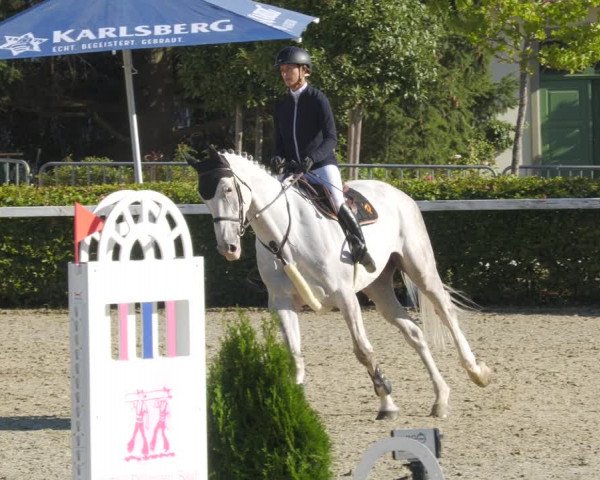 Reitturnier St.Wendel, Gestüt Welvert 2022