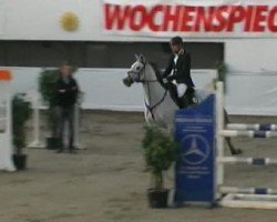 jumper Philippo 54 (Zweibrücken, 2004, from Pernod)