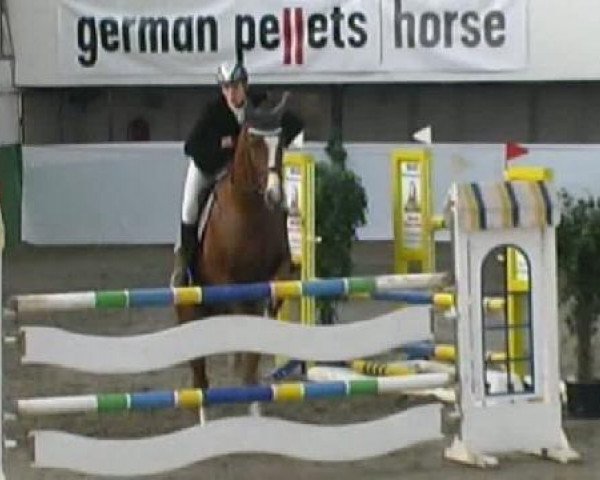 jumper Justus 98 (Mecklenburg, 2003, from Juventus)