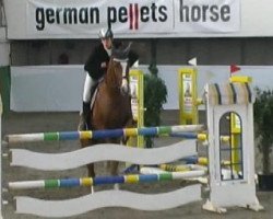jumper Justus 98 (Mecklenburg, 2003, from Juventus)