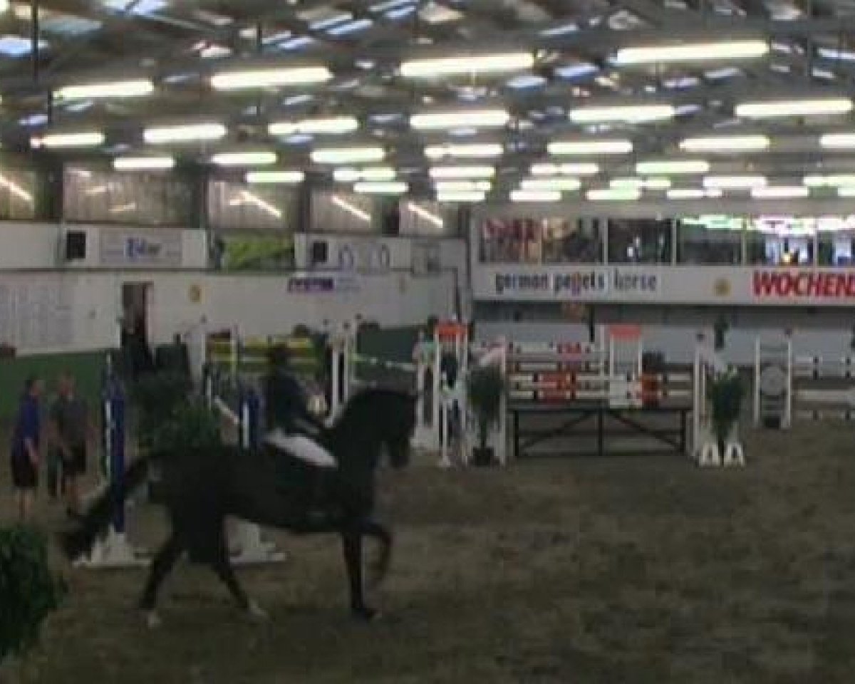jumper Ronaldo G (Rhinelander, 2001, from Rosenfürst N)