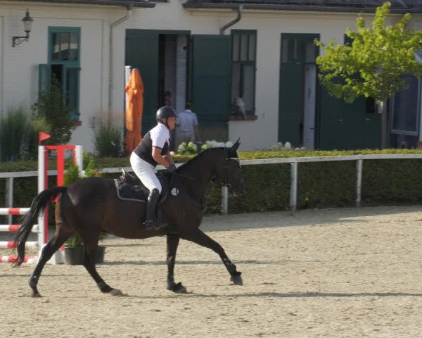 Reitturnier St.Wendel, Gestüt Welvert 2022