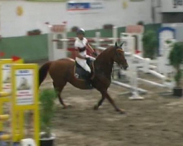 jumper Pegasus (Zweibrücken, 1998, from Power Light)