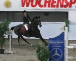 broodmare Cadena (Zweibrücken, 2004, from Cosaro)