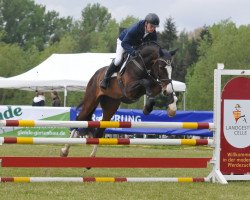 jumper Criss Cross PJ (Hanoverian, 2015, from Cristallo I)