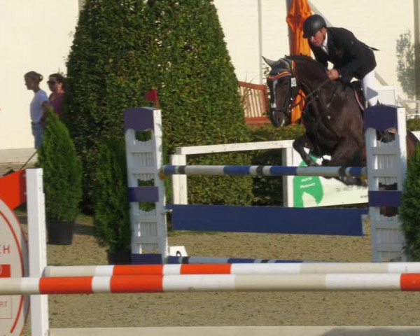 Reitturnier St.Wendel, Gestüt Welvert 2022