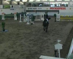 broodmare Lunkes'hof Catleen (Zweibrücken, 2000, from Caretano Z)