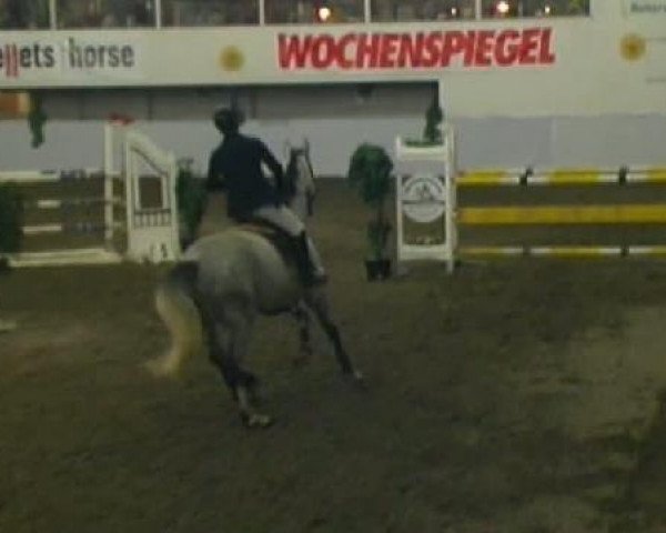 jumper Ebro van't Palmenhof (Belgian Warmblood, 2004, from Triomphe de Muze)