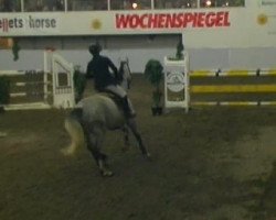 Springpferd Ebro van't Palmenhof (Belgisches Warmblut, 2004, von Triomphe de Muze)